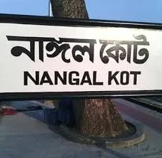 মফস্বলের সাহিত্য সংগঠন -  নাঙ্গলকোট রাইটার্স এসোসিয়েশন